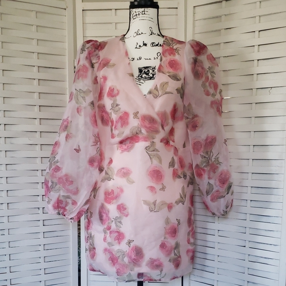 Storia Floral Pink Floral Dress with Sheer Sleeves Size M NEW